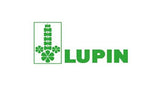 Lupin